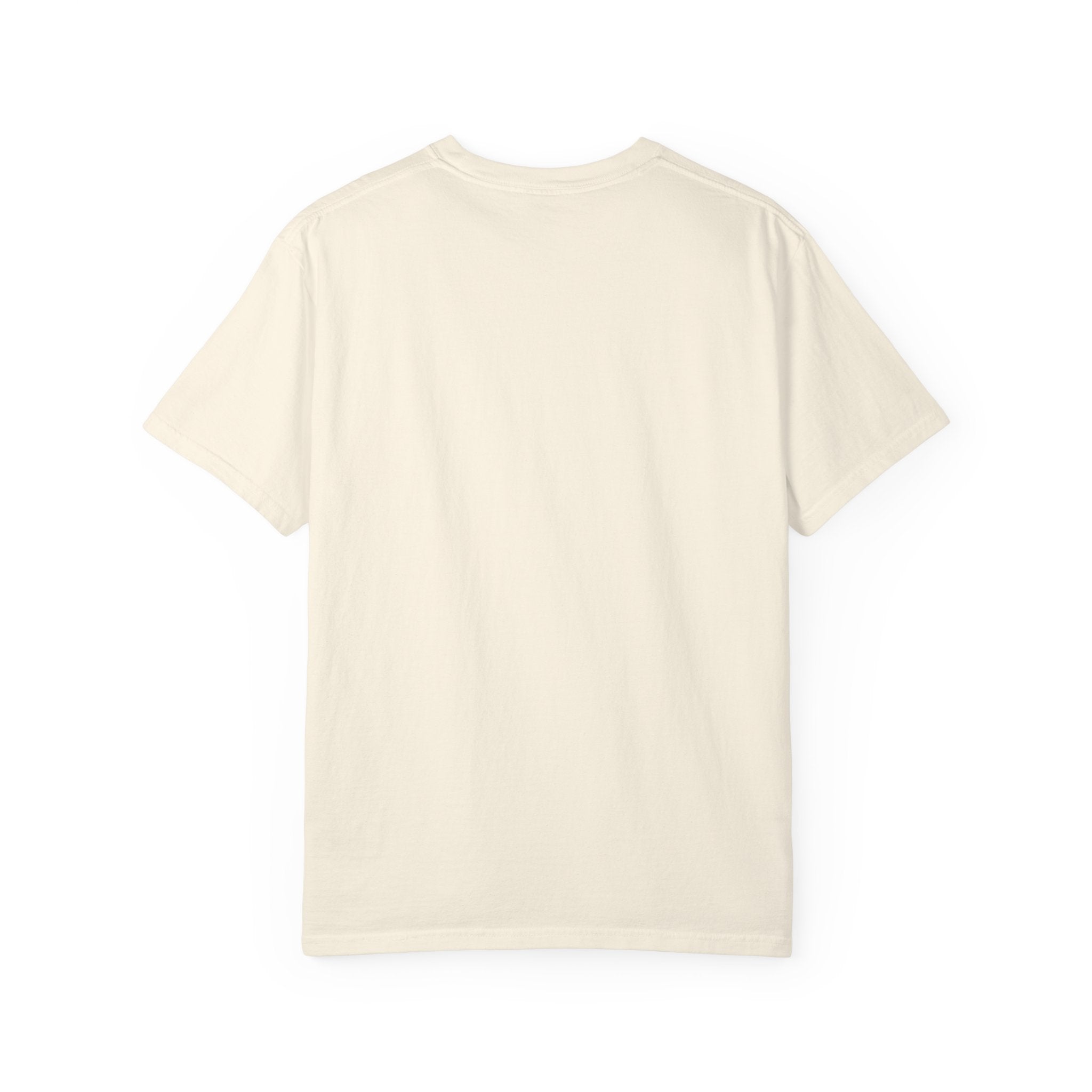 Fitzwilliam Darcy Comfort Shirt vintage graphic tee – view 20