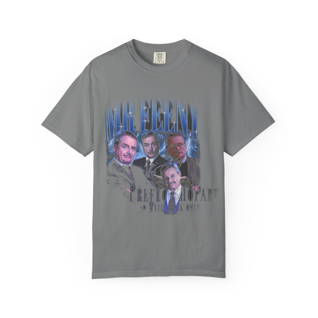 Mr Feeny