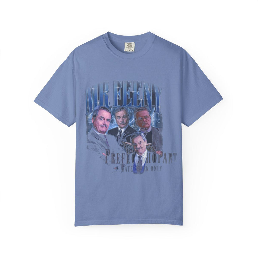 Mr Feeny