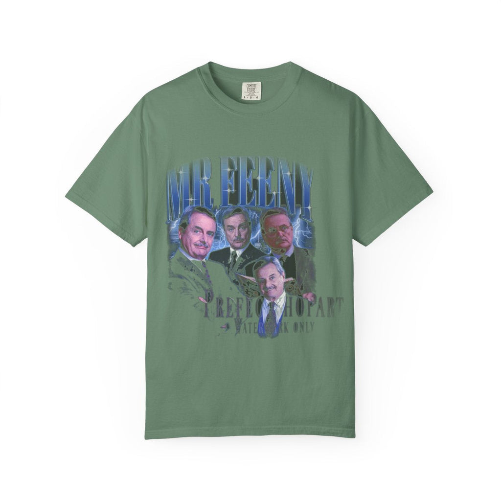 Mr Feeny